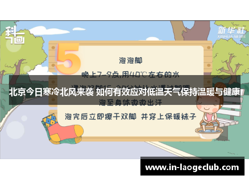 北京今日寒冷北风来袭 如何有效应对低温天气保持温暖与健康