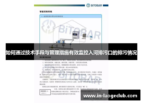 如何通过技术手段与管理措施有效监控入河排污口的排污情况