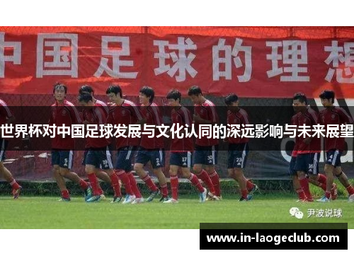 世界杯对中国足球发展与文化认同的深远影响与未来展望