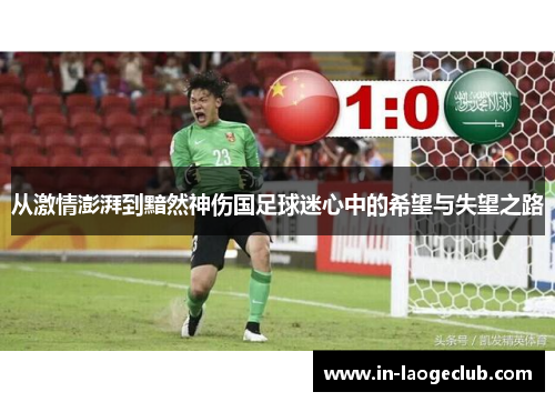从激情澎湃到黯然神伤国足球迷心中的希望与失望之路