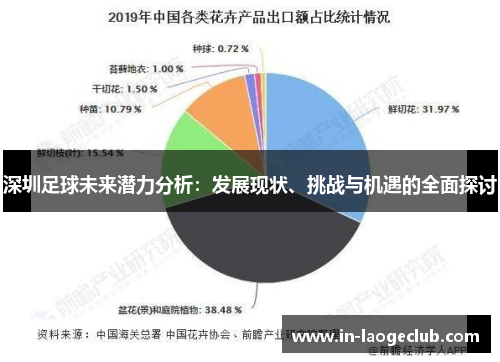 深圳足球未来潜力分析：发展现状、挑战与机遇的全面探讨