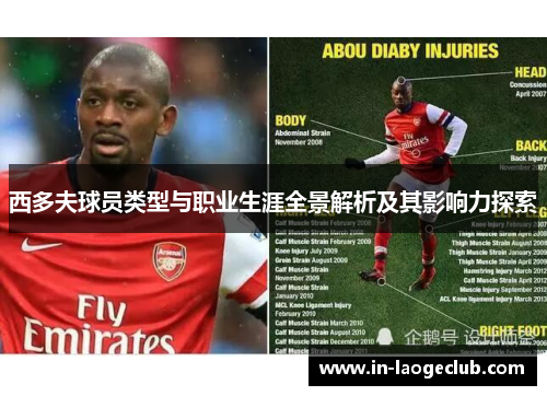 西多夫球员类型与职业生涯全景解析及其影响力探索