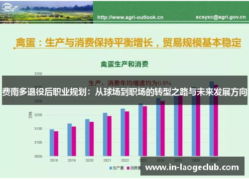 费南多退役后职业规划：从球场到职场的转型之路与未来发展方向