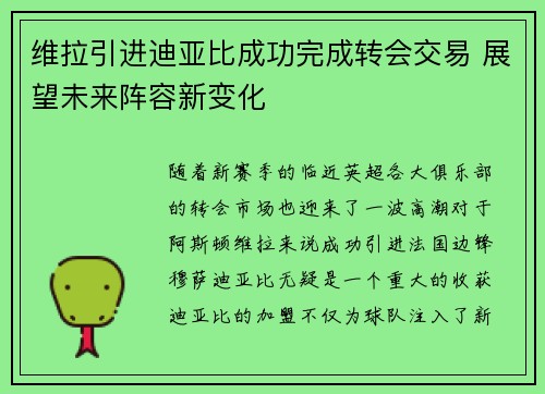 维拉引进迪亚比成功完成转会交易 展望未来阵容新变化